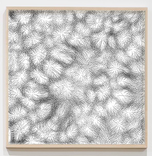generative design Balck and white pattern fluids digital design generative artist field works on paper 3D fine art graphics