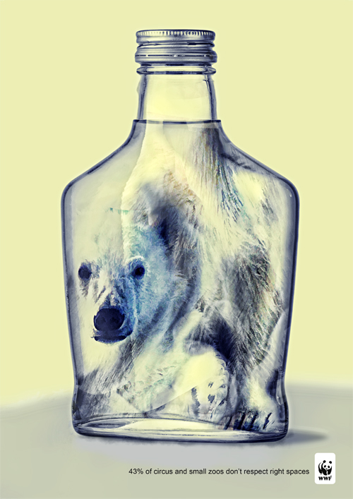 WWF photo manipulation matte art animal social Cause cage glass bottle Compressed