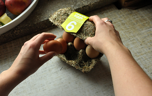 hay organic eco Sustainable eggs student