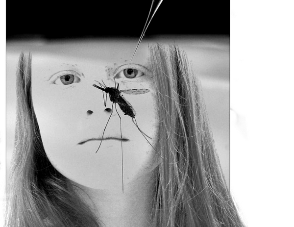 collage experiment girl insect