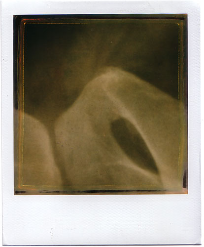 POLAROID Polaroids x rays polaroid 600 instant film