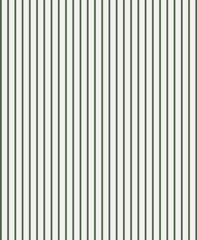 lines stripes black White