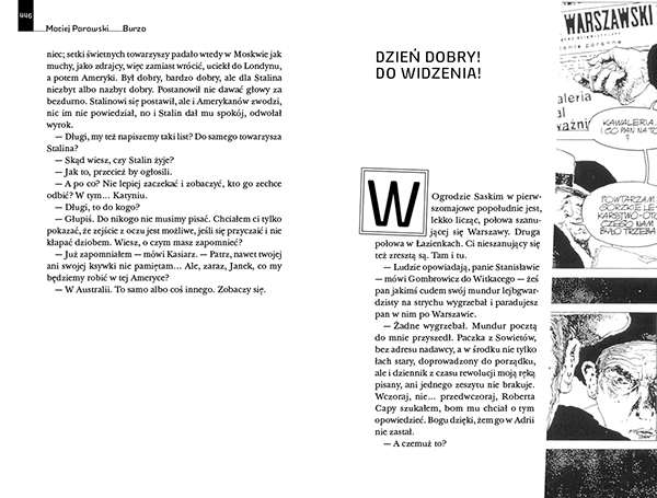 projekt graficzny okładka Zysk i S-ka book cover