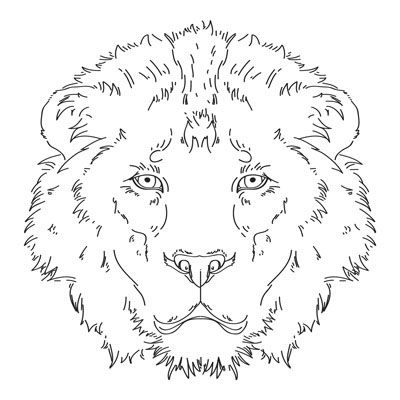 ILLUSTRATION  Illustrator Digital Art  vector lion animals graphic design  Fur eyes