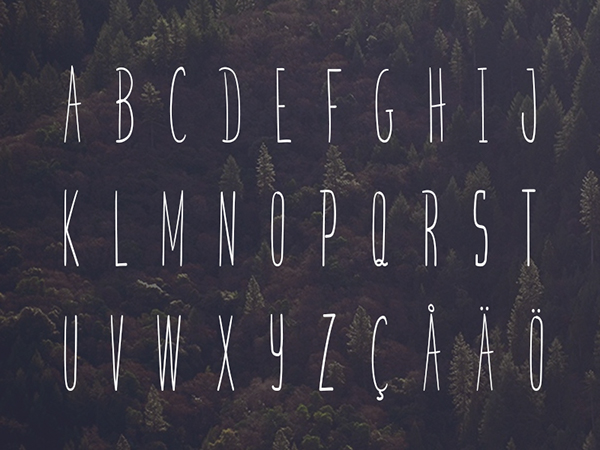 font freefont freetype type typology Typeface free freebie freebies handwritten handwrite lettering typo free-font free-type