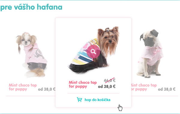 doggy dog pet store puppy colorfull fancy petshop commerce