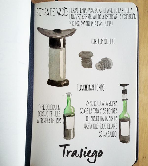 trasiego vinomexicano vino wine Vinos winws Mexican Mexicano mexicanwine digital ilustracion memes watercolor infographic