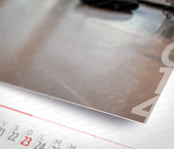 graphic design - Calendar 2014 concept
