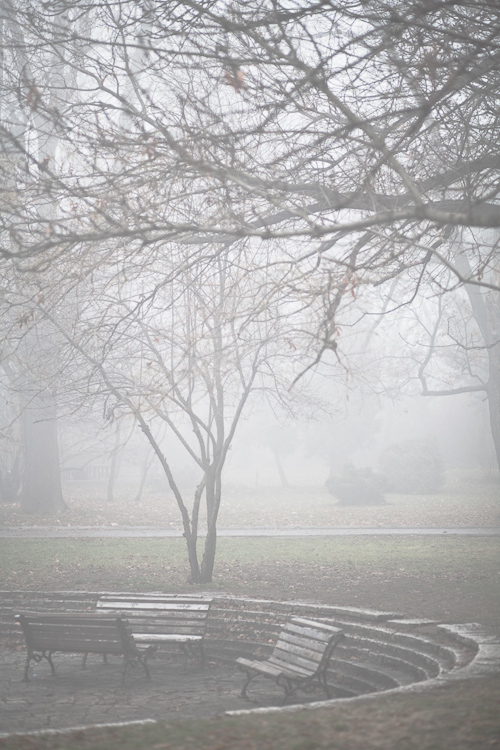 mist Park sofia bulgaria autumn winter dark gloomy atmospheric