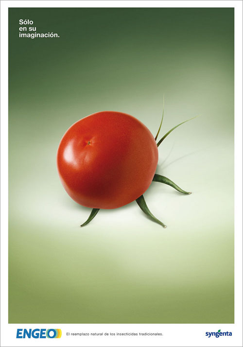 vegetable syngenta insecticide Food 