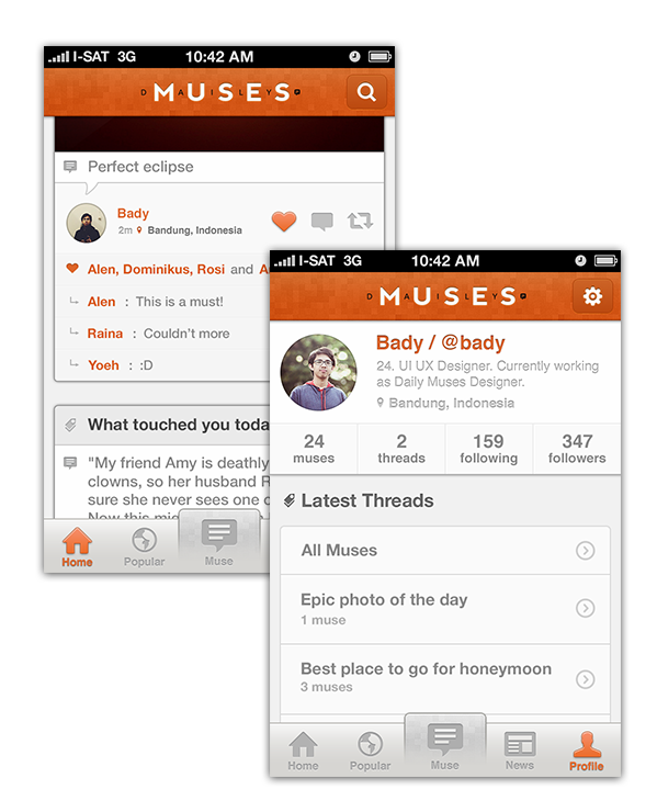 UI ux Web app logo daily muse social iphone visual design Interface wireframe