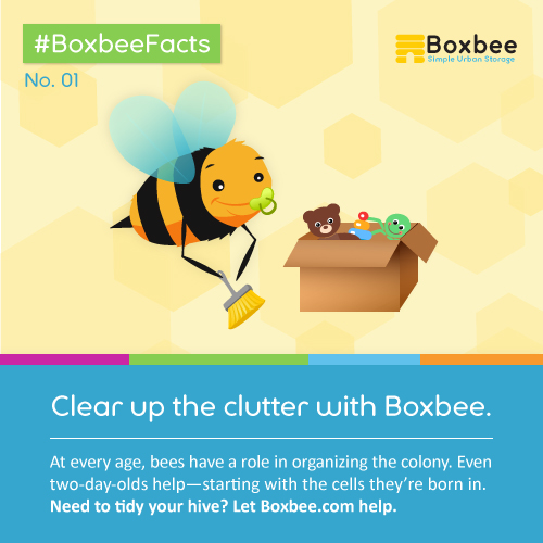 Boxbee storage bee social content Eastwick