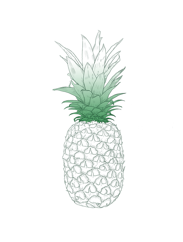 Pineapple Pattern on Behance
