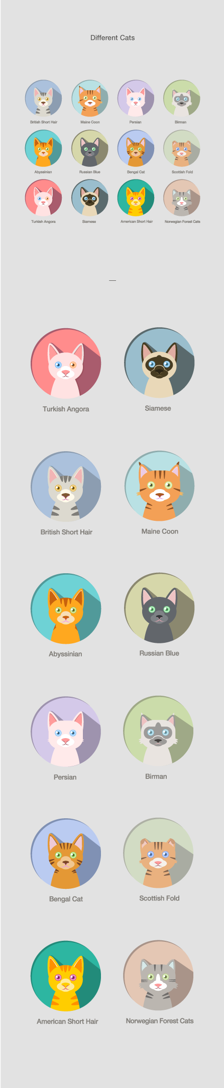 vector Cat illust cute portfolio