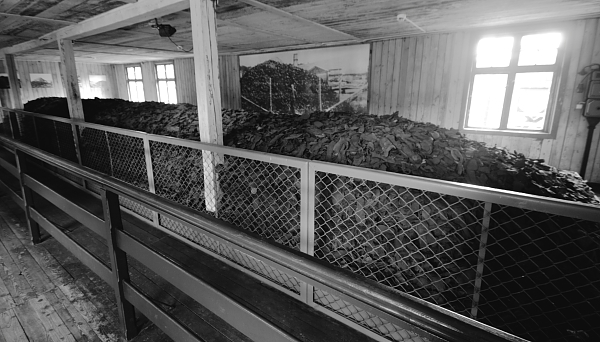 camp  holocaust concetration camp War photograph Prisoner world war monochrome poland history museum Terror massacre