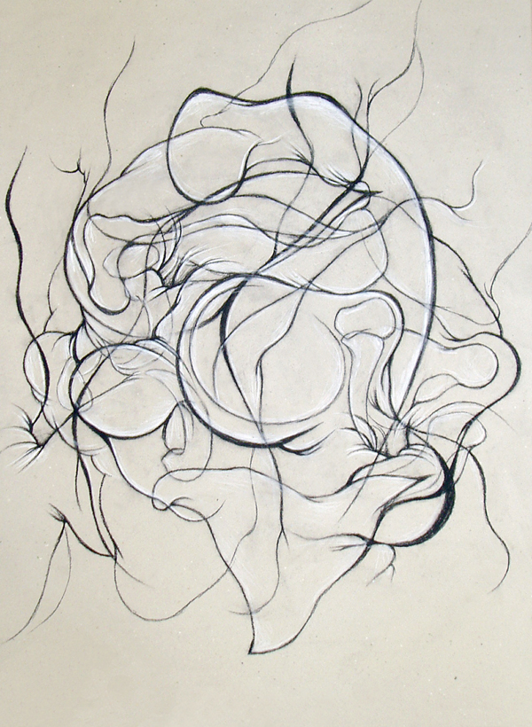 abstraction anatomy organic layers human anatomy abstract anatomical line consciousness