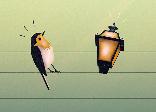 bird robin Cable lantern funny comic cartoon ILLUSTRATION  cute minimal