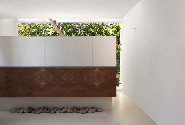 plantwall Minimalism i29