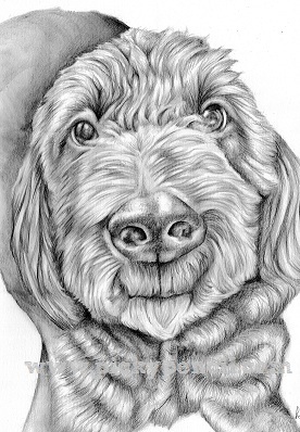 dog pencil graphite photo Outdoor gift