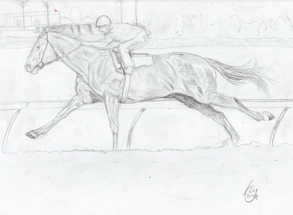 horse  Clydesdale equestrian Pencil drawing cabaret
