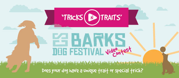 dogs festival brochure map schedule trolley tricks event signage instagram Web Banners posters jumping animals Event