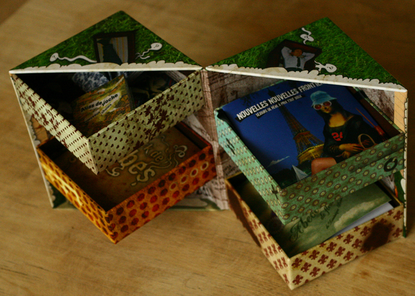 Layout Raphaële Vidaling Cabinet de curiosités Tana Editions Laurent Magnin books box