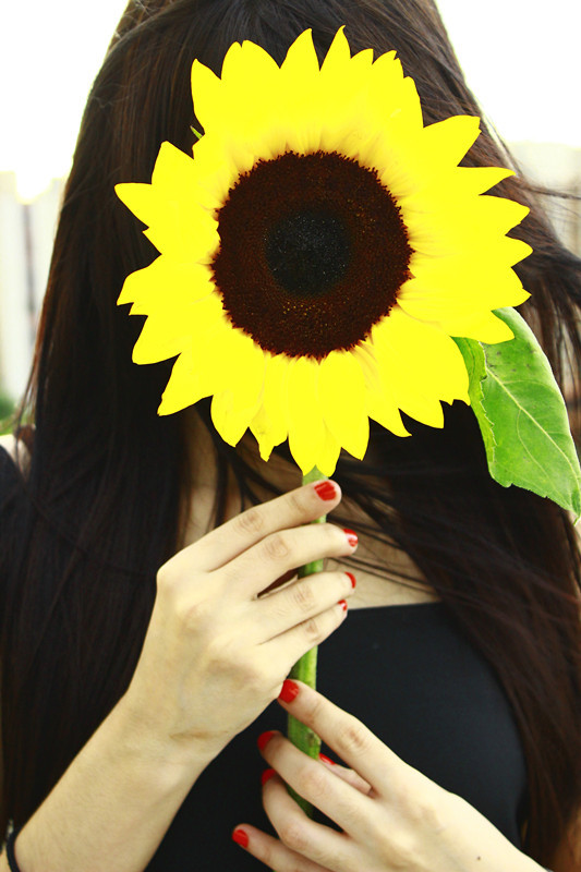 Sunflowers portafolio Canon model