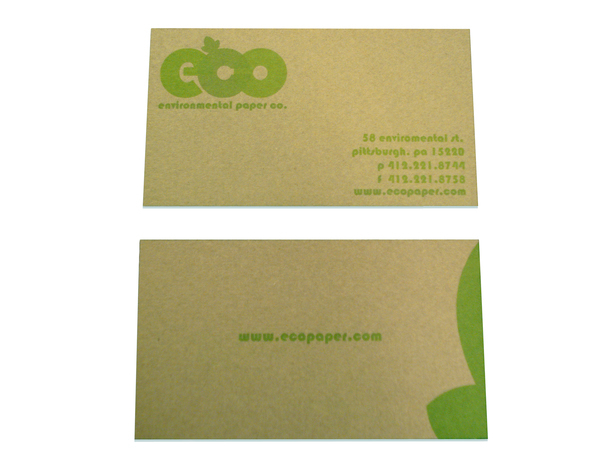 Identity System logo letterhead business card envelope enviromental