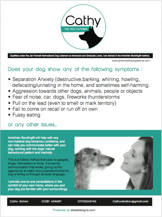 dog training jan fennell jan fennel logo leaflet design