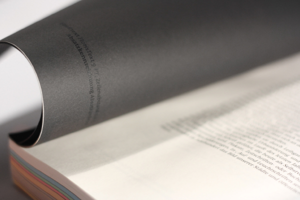typo  book  bookdesign  Typografie editorialdesign