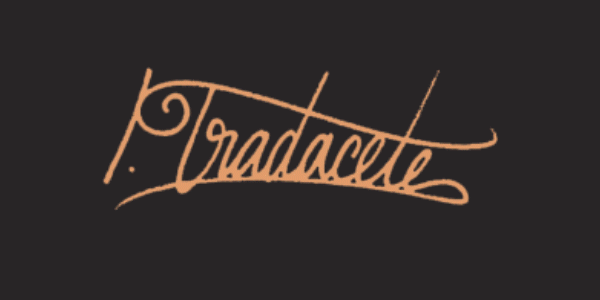 brand logo Logotype corporate Stationery branding  personalbranding Calligraphy   dark