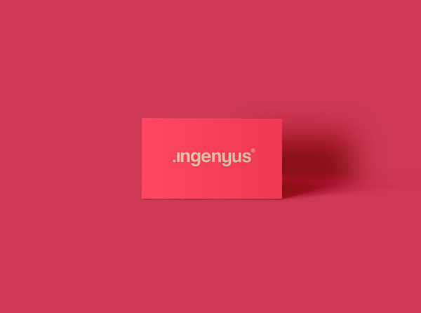 .ıngenyus | Branding