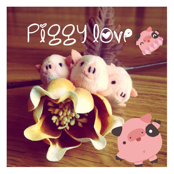 walter the pig instasize stickers instagram app squid&pig cute kawaii chibi pig