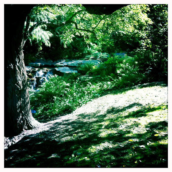 art photos Nature Landscape square hipstamatic Pop Art jim amos jason bogs red rock Palm Trees leaves forest green unusual photography nature photography
