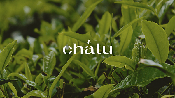Chatu — premium Chinese tea