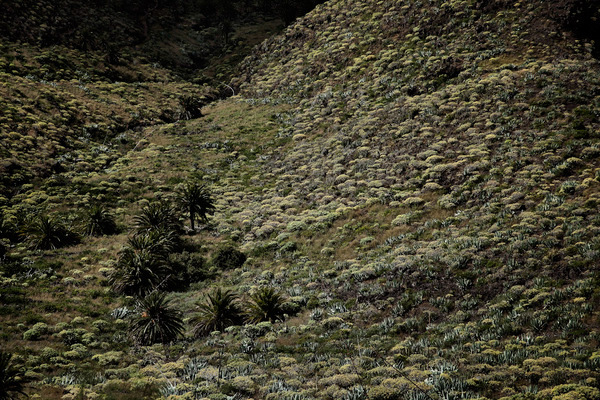 Shot on Tenerife and La Gomera spring 2010. Landscapes in dramatic light
