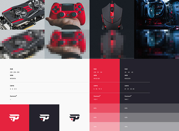 Furia E-sports Projects  Photos, videos, logos, illustrations and branding  on Behance