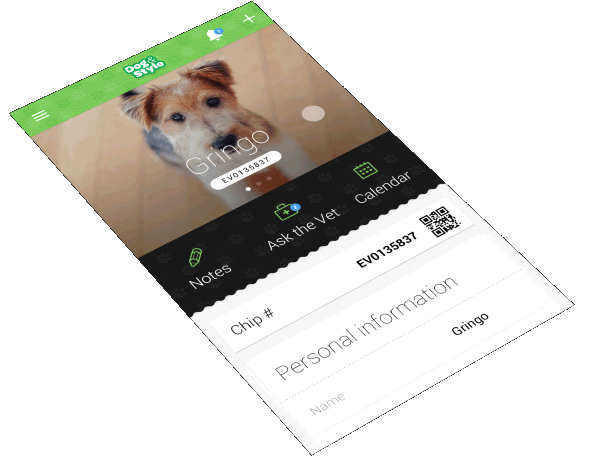 app iphone android design concept dog Style Food  interaction ux UI puppy pets