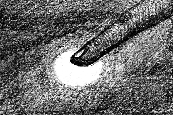 gif hand drawing ant creepy black and white pencil stop motion story storyboard frame by frame
