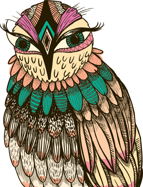 owl animal colorful brights