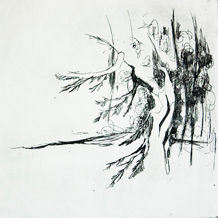 calclografia stampa d'arte incisione acquaforte Alberi bosco foresta dittico simmetria