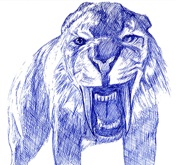 animal draw art ink demoose Illustrator design cool tiger Cat saber tooth pen ink Landscape wildlife