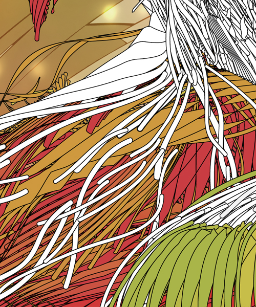 noodle  vector  colors anatomy