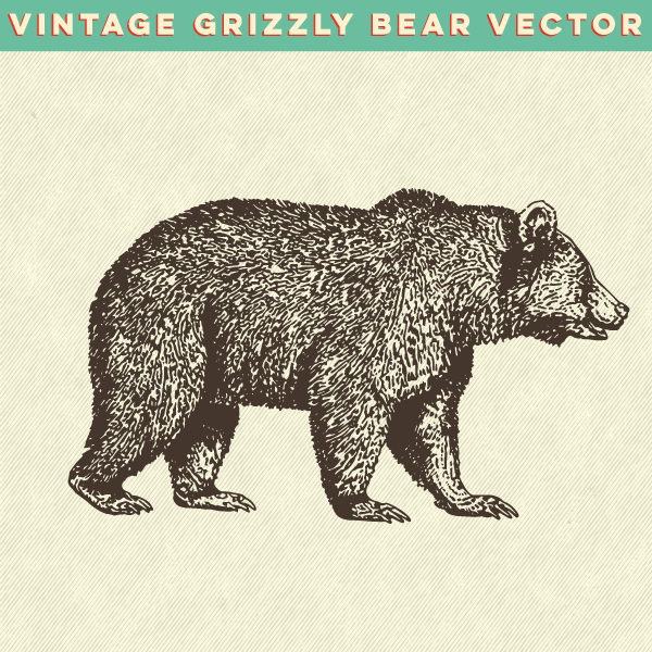 vintage Retro bear woods wood hip vector brown grizzly Nature