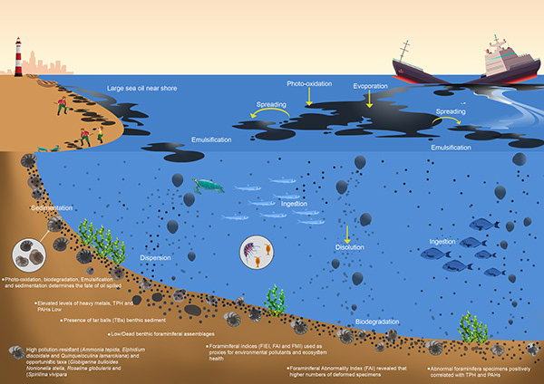 Info-graphics on oill spill