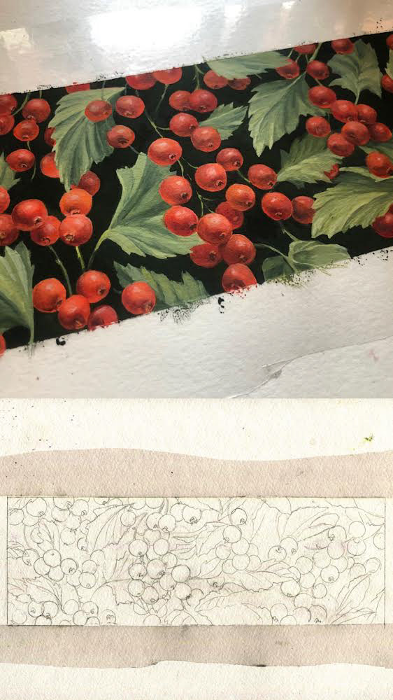 Packaging illustration for the 'Christmas Berries' range for Carroll&Chan, by Shann Larsson