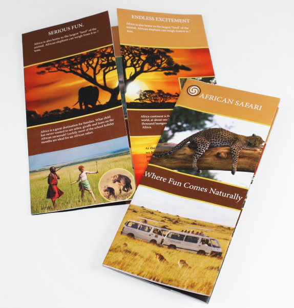 safari brochure 2023 pdf