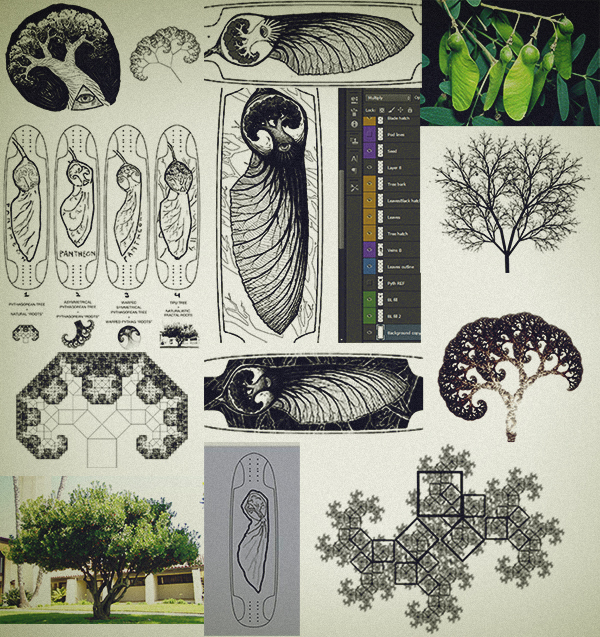 LONGBOARD graphic longboard graphic pantheon longboards Pantheon seed Embryo helicopter seed sacred geomtery cross hatching lineart Line Work scratchboard inking