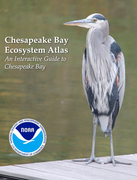 Cover photo of the Chesapeake Bay Ecosystem Atlas developed by Green Fin Studio for NOAA.