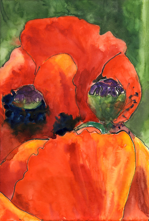watercolor watercolour poppy poppies orange red imperfect beauty Stillman and Birn sketchbook sketch chinh gamma